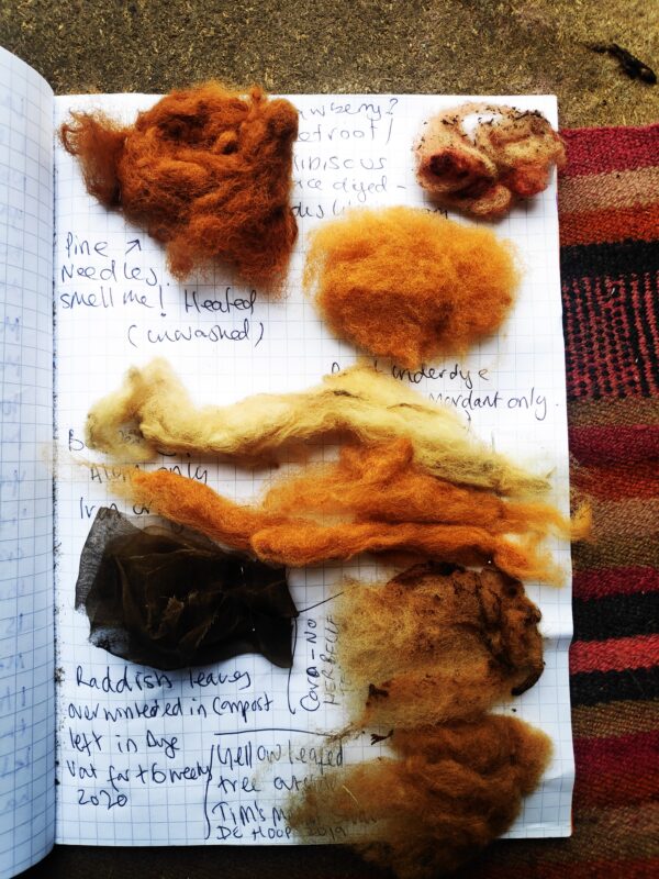 Plant Dyeing Workshop in the Netherlands with Samm Lewis SATURDAY 2nd AUGUST 14:00-18:00 - Image 6