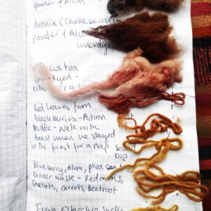 Plant Dyeing Workshop in the Netherlands with Samm Lewis SATURDAY 2nd AUGUST 14:00-18:00