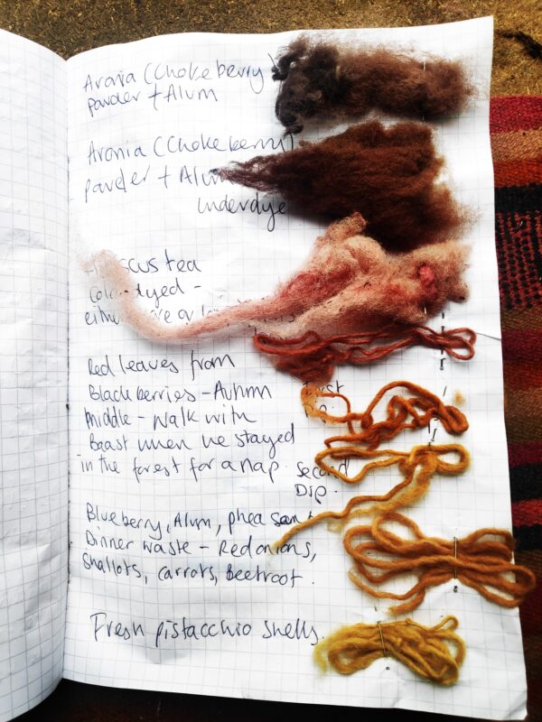 Plant Dyeing Workshop in the Netherlands with Samm Lewis SATURDAY 2nd AUGUST 14:00-18:00