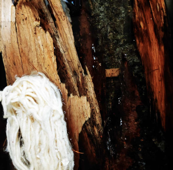 Plant Dyeing Workshop in the Netherlands with Samm Lewis SATURDAY 2nd AUGUST 14:00-18:00 - Image 2