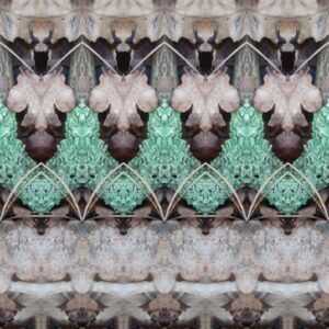 Bergen Kunst 10 Daagse Nature Dinner 22 October 19:00 - 22:00