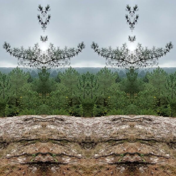 Bergen Contemporary Photography Book - Image 4